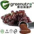 High quality fast delivery organic grape seed extract powder